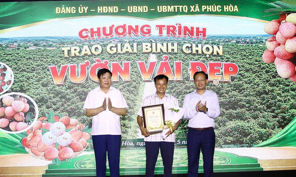Phuc Hoa commune hosts gala to welcome 2026 early lychee season